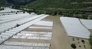 Amasya'da Yeşilırmak Nehri taştı, tarım arazileri sular altında kaldı