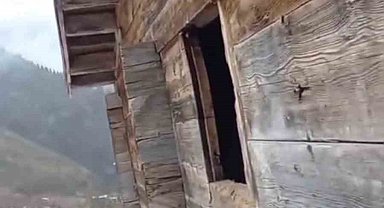Anahtarın yerini tarif etti, evine giren ayıya "Zarar verme" diye seslendi