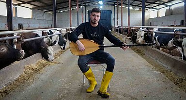 Ankaralı besici kurbanlık hayvanlarına saz çalıp, türkü söylüyor
