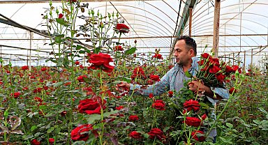 Anneler günü fırsatçıları iş başında: Üreticiden 20 TL'ye çıkan gül annelere 150 -200 TL'ye ulaşıyor