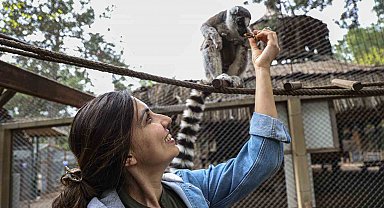 Antalya Doğal Yaşam Parkı'nda yavru lemur sevinci