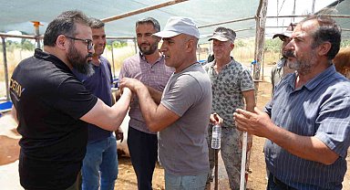 Antalya'da kurban pazarında son kozlar oynandı: "Zor belayla aldık, çok pazarlığını yaptık"