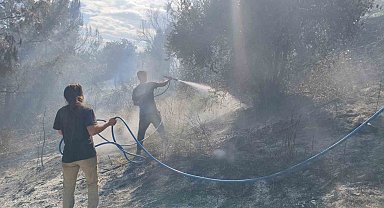 Antalya'da ormanlık alanda yangın
