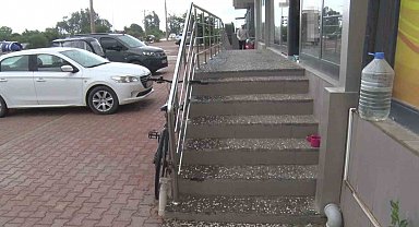 Antalya'da yabancı uyruklu şahıs kedinin üzerine bastı, köpeği tekmeledi