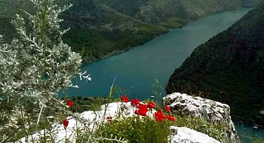 Araban Ovası'na bahar geldi