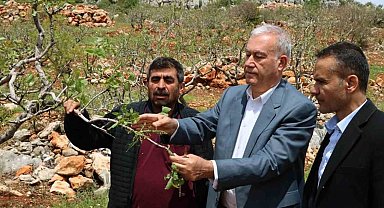 Araban'da 'süper hücre' fırtınası fıstık bahçelerine zarar verdi