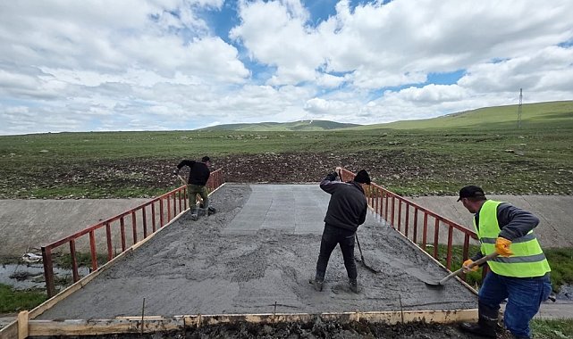 Ardahan'da hayvanların meralara geçişi için köprü yapıldı