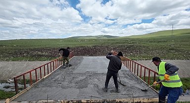 Ardahan'da hayvanların meralara geçişi için köprü yapıldı