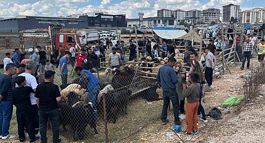 Arefe günü Gaziantep'teki kurban pazarlarında yoğunluk had safhaya çıktı