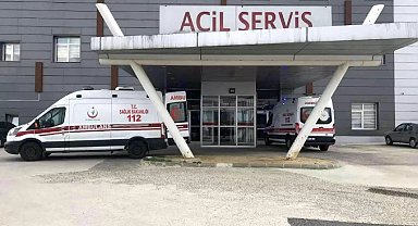 Arı saldırısına uğrayan yaşlı çift hastanelik oldu