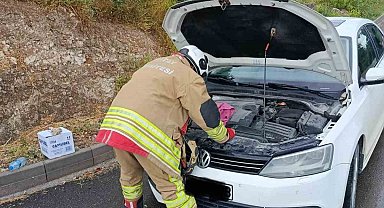 Arsuz'da otomobilin motoruna giren kediler kurtarıldı