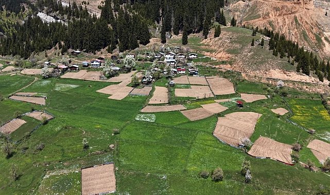 Artvin'de 1400 rakımda imece usulü doğal tarım