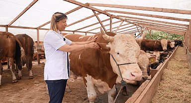 Ataşehir Belediyesi'nden vatandaşlara kurbanlık seçiminde önemli uyarılar