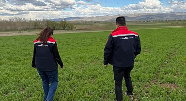 Aydıntepe'de hububat ekili alanlarda hastalık ve zararlı kontrolü yapıldı