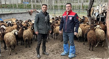 Aydıntepe'de kırsal üretimi destekleyen projede kontroller sürüyor