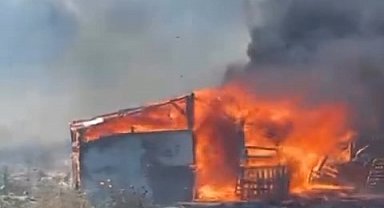 Ayvalık'ta ahır yangını