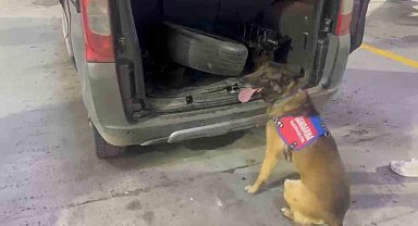 Bagaj ve kaputa gizlenen uyuşturucuyu narkotik köpeği 'Ayar' buldu