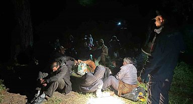Balıkesir'de 29 düzensiz göçmen yakalandı