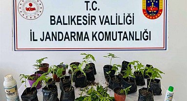 Balıkesir'de uyuşturucu operasyonlarında 64 şüpheli yakalandı