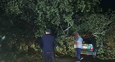 Bartın'da şiddetli fırtına: ağaçlar Otomobillerin üzerine devrildi