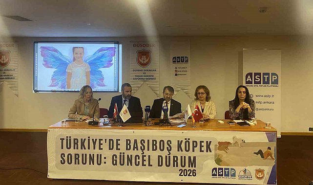 Başıboş köpek mağdurları panelde buluştu