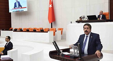 Başıboş sokak köpekleri için Erzurum modeli önerisi