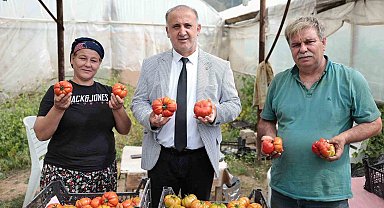 Başkan Kaya, çiftçiler gününde domates hasadına katıldı