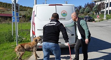 Başkan Kurnaz: "Tüm ilçeler hayvan barınaklarını tamamlarsa bu yükten kurtulmuş olacağız"