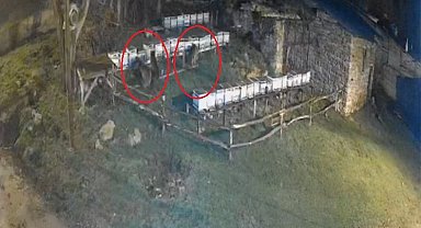 Bayburt'ta iki farklı arılığı talan eden ayılar köpek havlayınca kaçtı