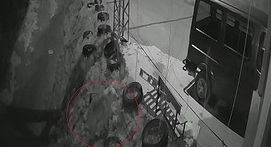 Bayburt'ta köye inen aç ayı kurdun tavşanı kovaladığı noktada yiyecek aradı