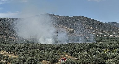 Bayındır'da zeytinlik alanda yangın