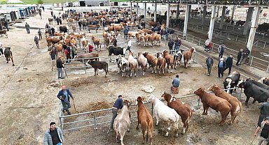Bayrama sayılı günler kala Sorgun canlı hayvan pazarında hareketlilik yaşandı