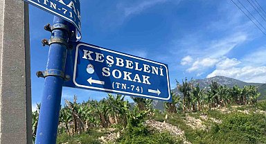 Belediye çalışanlarından örnek davranış: Çöp konteynerinde ölüme terk edilen kaplumbağayı kurtardılar