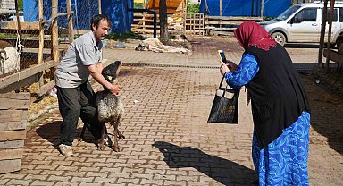 Besicilerin kurbanda da mesaisi sürüyor