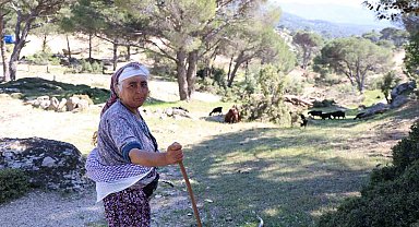 Beşparmak Dağları'nda çobanlığı terk etmeyen sadece Rukiye bacı kaldı