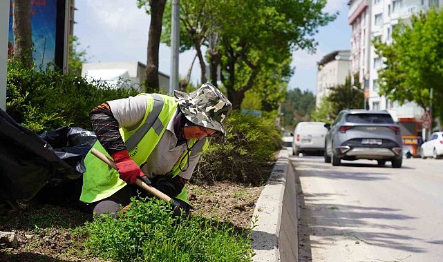 Bilecik'te park ve bahçeler müdürlüğünden yaza hazırlık çalışmaları