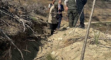 Bilecik'te yangın sahalarında ağaçlandırma çalışmaları incelendi