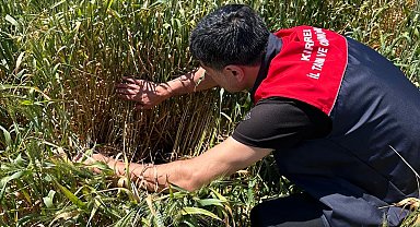 Bilinçsiz ilaç kullanmak hem çevreye hem de ekonomiye zarar verir