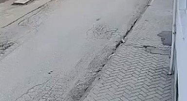 Bir anda koşup havlayan köpek küçük çocuğu korkuttu