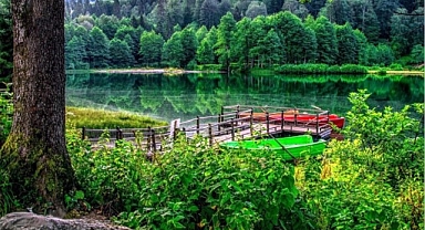 Bir Günde İki Dünya: Rize Yaylalarından Batum Sokaklarına Uzanan Eşsiz Turlar
