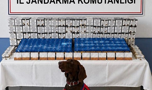 Bolu'da kaçakçılık operasyonu: 2 gözaltı