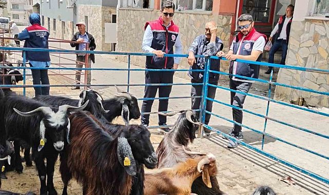 Bozdoğan'da kurban satış yerleri denetlendi