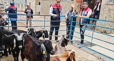Bozdoğan'da kurban satış yerleri denetlendi