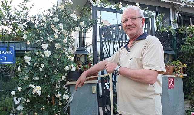 Burhaniye Ören de bahçelerde gül güzelliği yaşanıyor