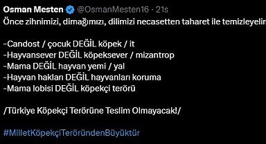 Bursa Milletvekili Mesten'e hem destek hem tehdit