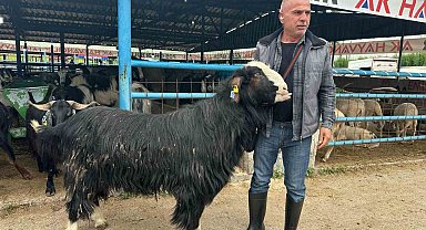 Bursa'daki kurban pazarının şampiyon keçisi 47 bin liradan satıldı