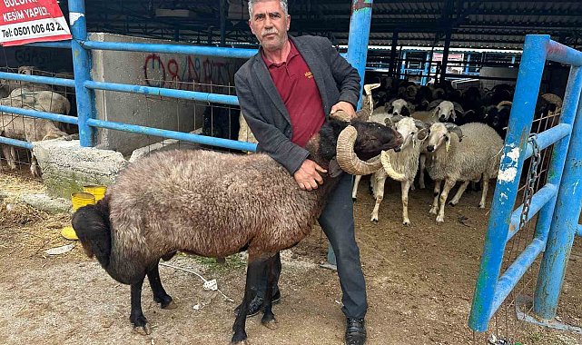 Bursa'daki kurbanlık pazarında hareketlilik