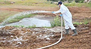Büyükşehir'den kurban satış alanlarında ilaçlama