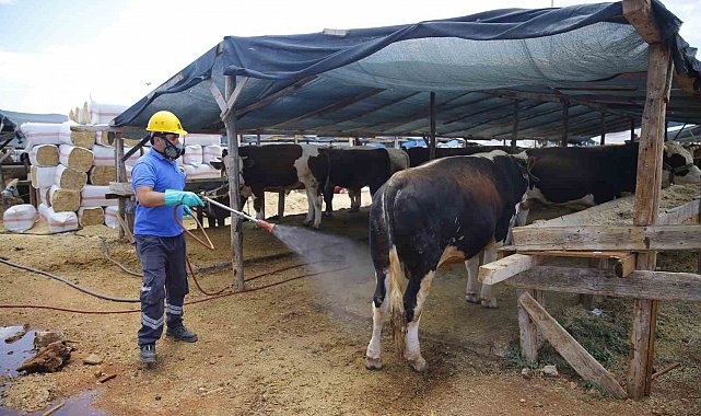 Büyükşehirden 6 farklı noktada ücretsiz kurban kesim hizmeti