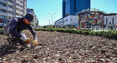Büyükşehirden kuraklığa karşı sürdürülebilir peyzaj
